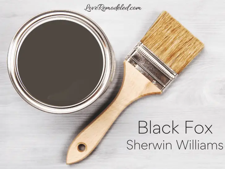 Black Fox by Sherwin Williams