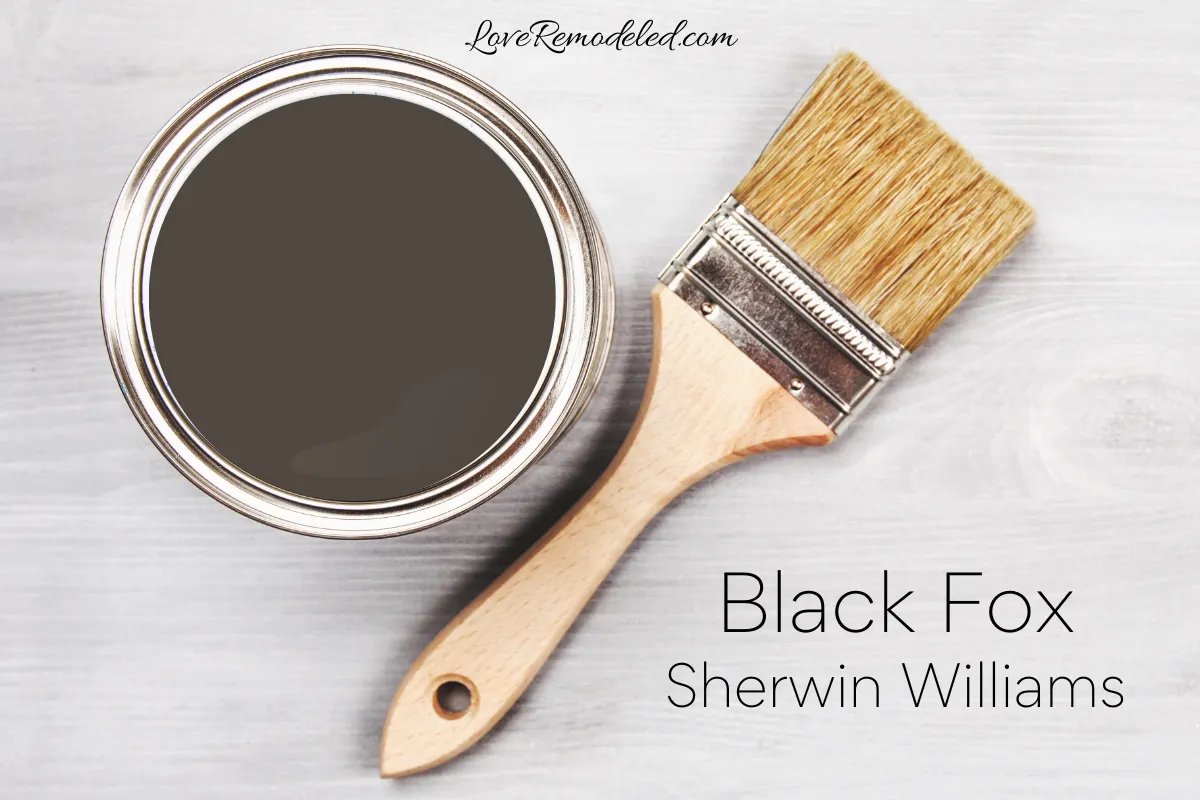 Black Fox by Sherwin Williams