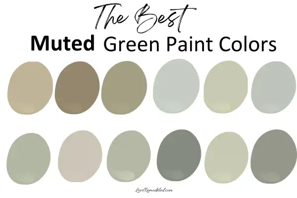 Muted Green Paint