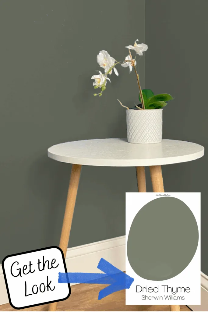 Paint Color like Sherwin Williams Dried Thyme