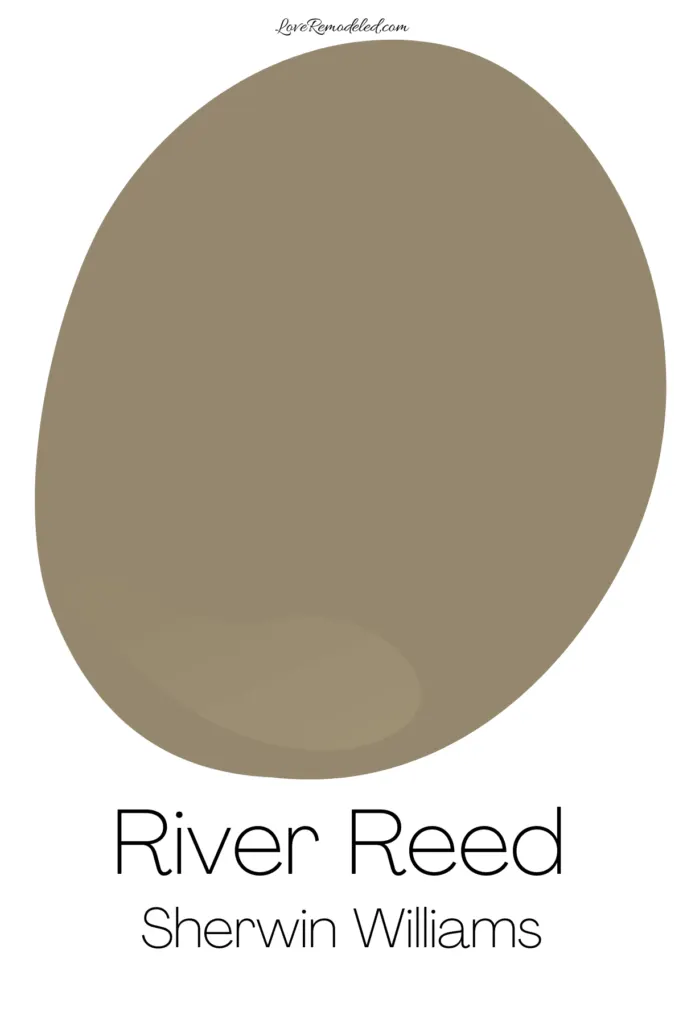 Sherwin Williams River Reed Paint Spot