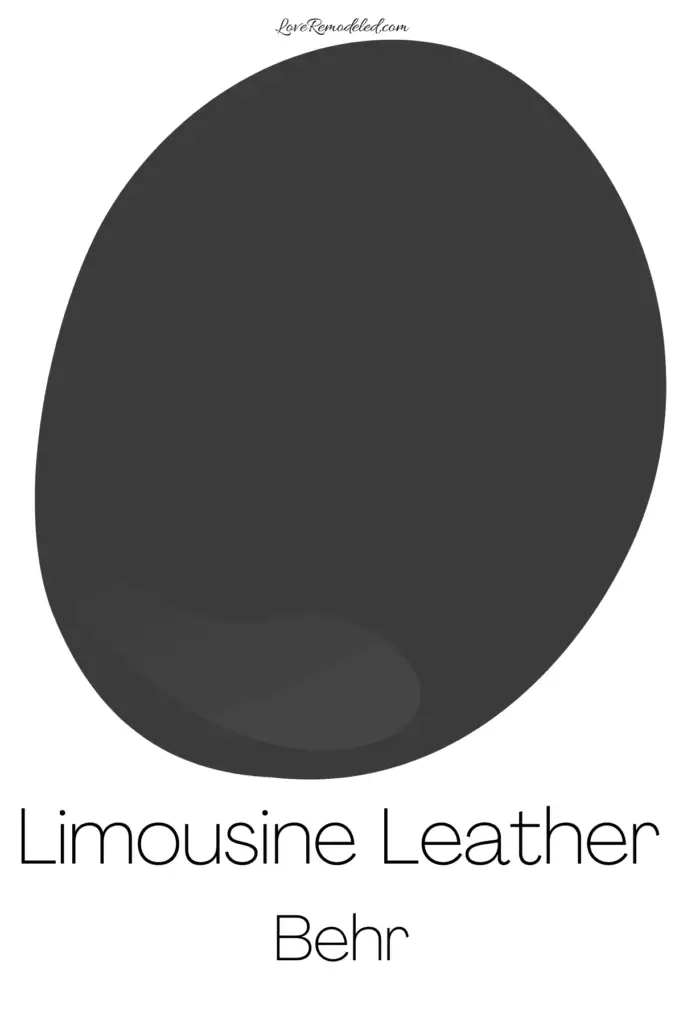 Behr Limousine Leather Paint Drop
