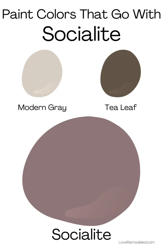 Paint Colors That Go With Socialite Sherwin Williams - brown