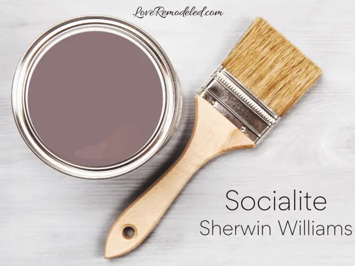 Socialite by Sherwin Williams paint can and paint brush