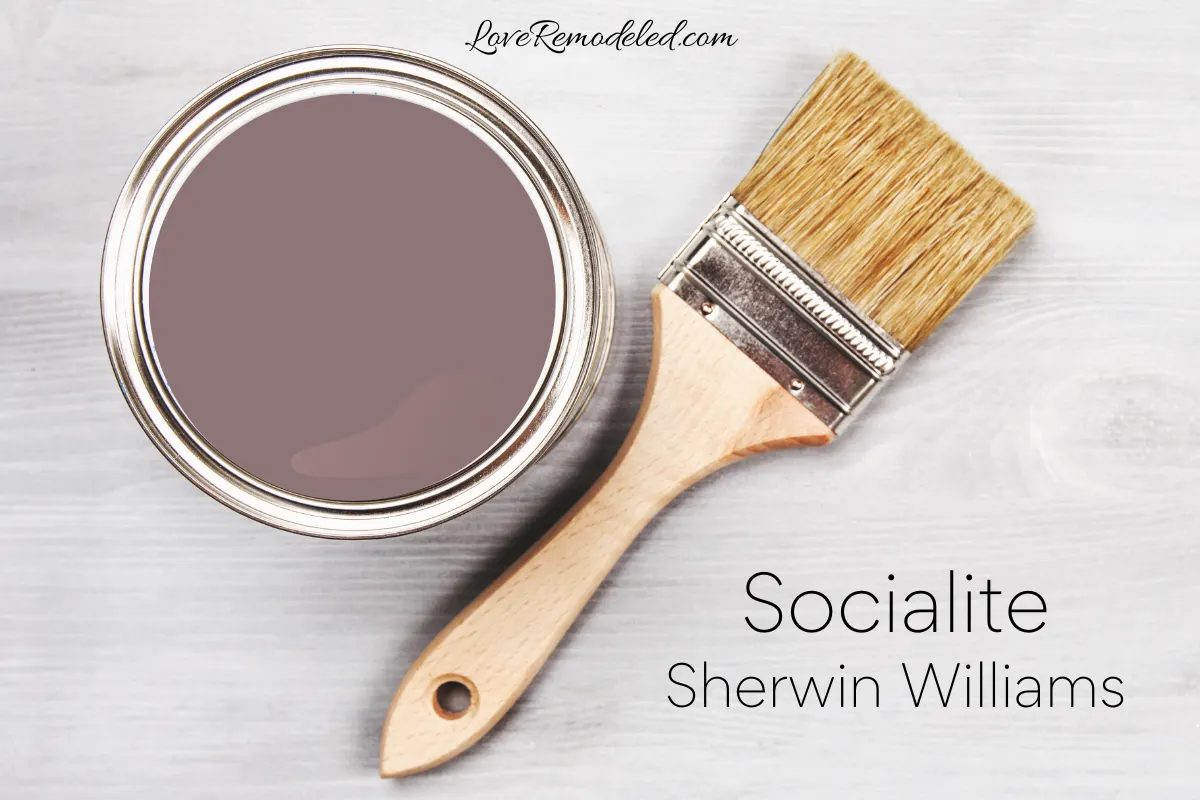 Socialite by Sherwin Williams paint can and paint brush