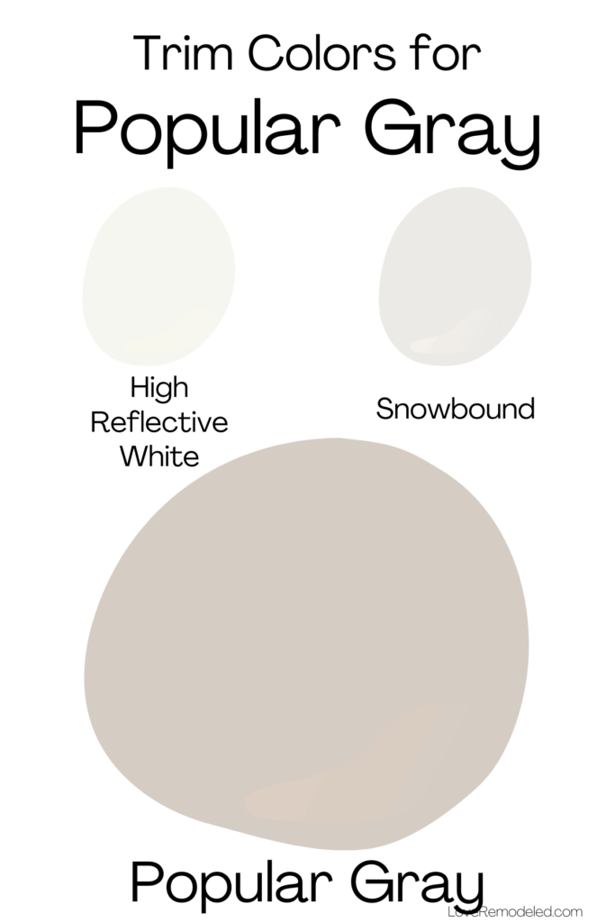 Popular Gray Paint Color spot - Trim colors - High Reflective White, Snowbound