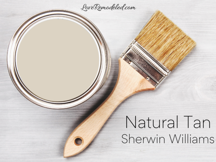Natural Tan in paint can. by Sherwin Williams