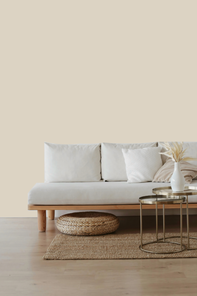 Sherwin Williams Natural Tan Paint Color in a living room
