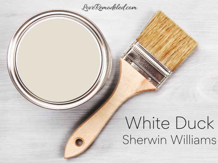 White Duck by Sherwin Williams in paint can with paintbrush lying next to it