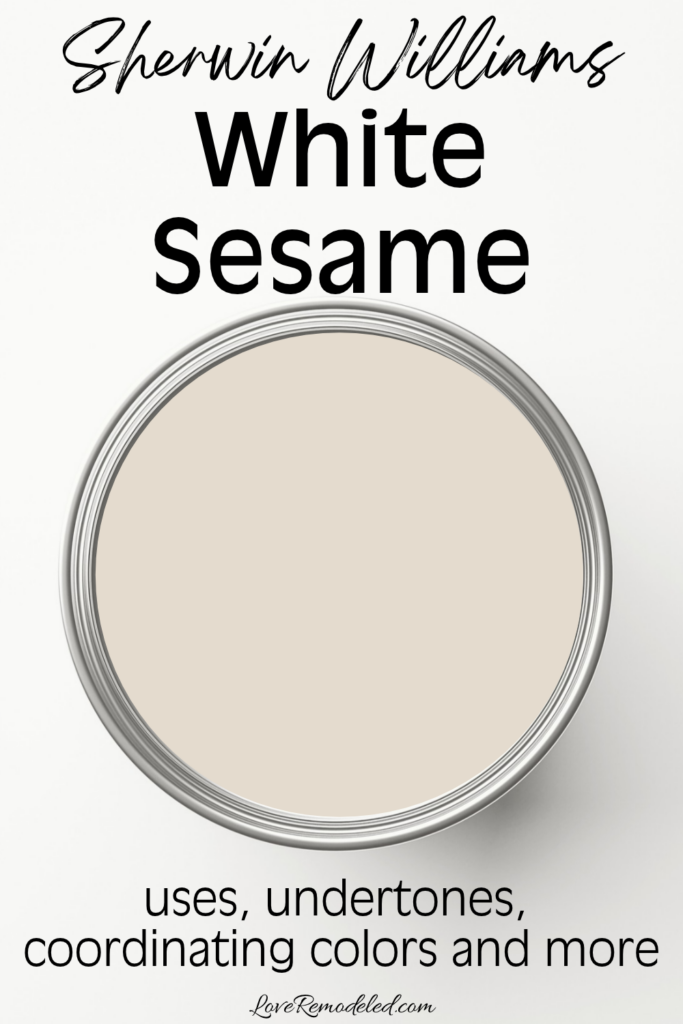 Sherwin Williams White Sesame in a paint can - uses, undertones, coordinating colors and more